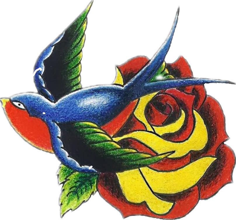 bird